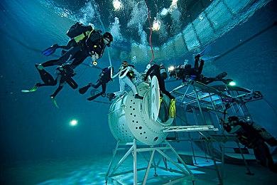 《线条小狗：动物温泉》季节DLC夏日派对正式上线，泳池躺椅开启清凉一夏！