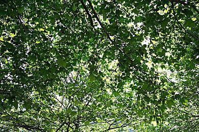 《漫威蜘蛛侠3》和《漫威毒液》并无PC工程版